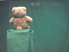 180 Degrees _ Picture 9 _ Brown Teddy Bear Wearing Red Bow.png